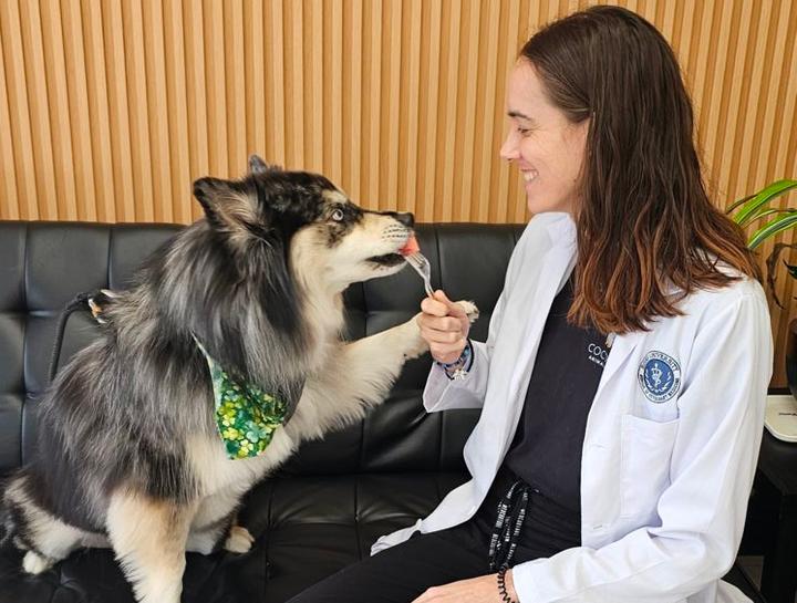 $City Animal Nutritionists